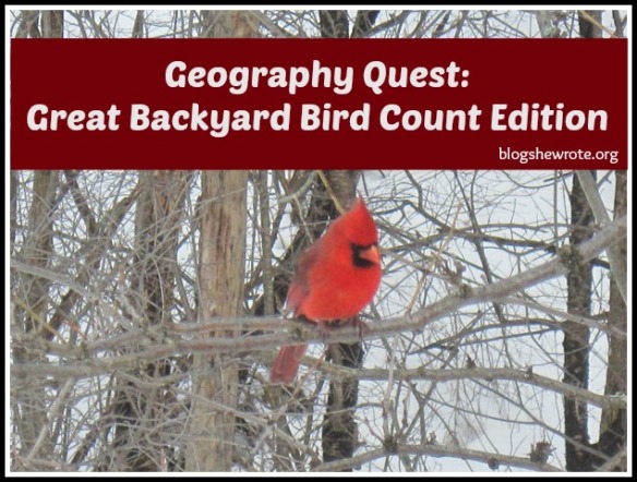 Blog, She Wrote: Great Backyard Bird Count Edition